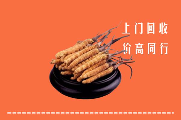 附近收购：江安县冬虫夏草回收多少钱每克