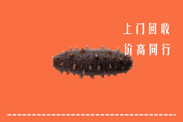 江安县回收海参