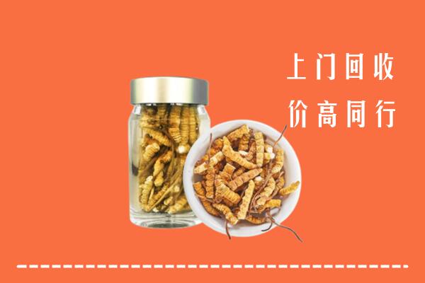 江安县回收冬虫夏草
