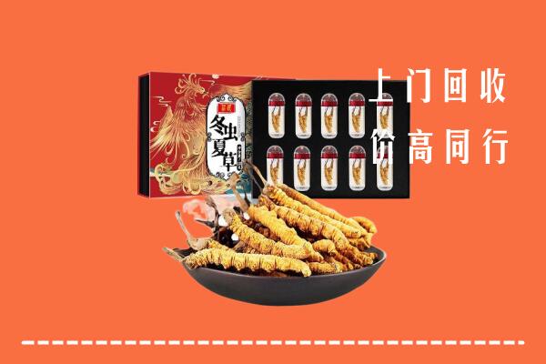 江安县回收虫草